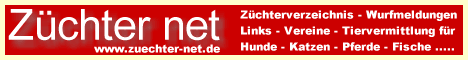 znet logo - Links